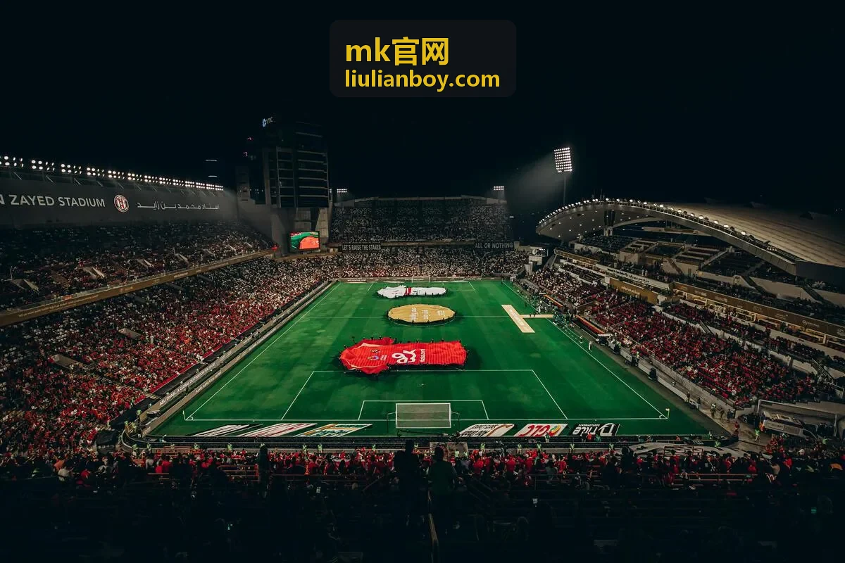 mk官网大容量通勤手提包展示