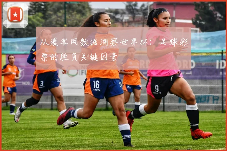 从澳客网数据洞察世界杯:足球彩票的胜负关键因素