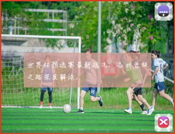 世界杯预选赛最新战况：各洲晋级之路深度解读