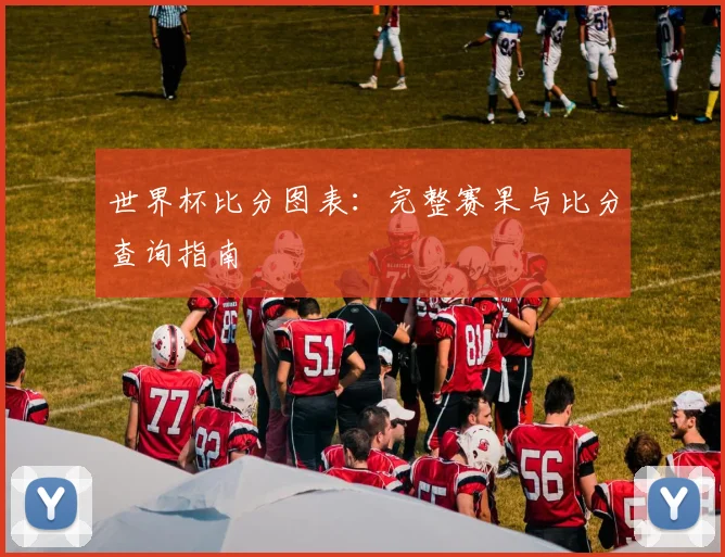 世界杯比分图表：完整赛果与比分查询指南